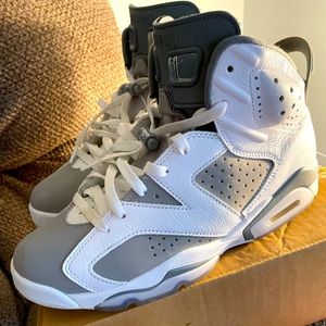 Air Jordan 6 retro ‘Cool Grey’